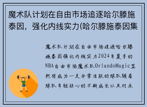 魔术队计划在自由市场追逐哈尔滕施泰因，强化内线实力(哈尔滕施泰因集锦)